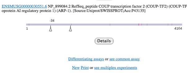 common assays