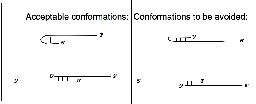 conformations