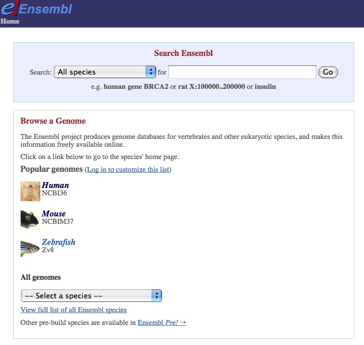 Ensembl
