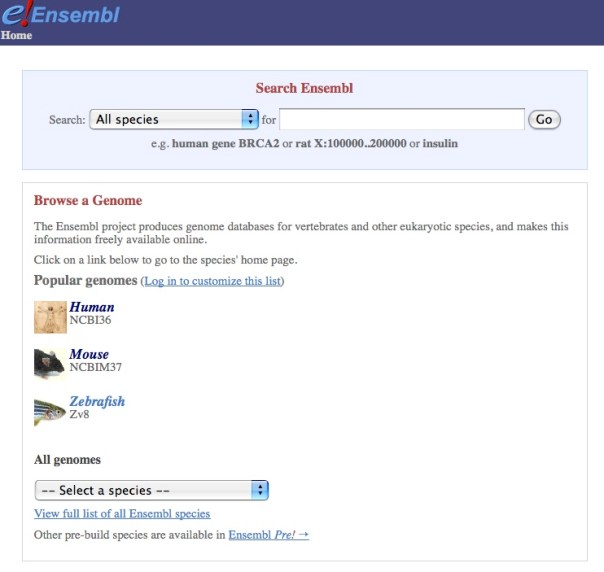 Ensembl